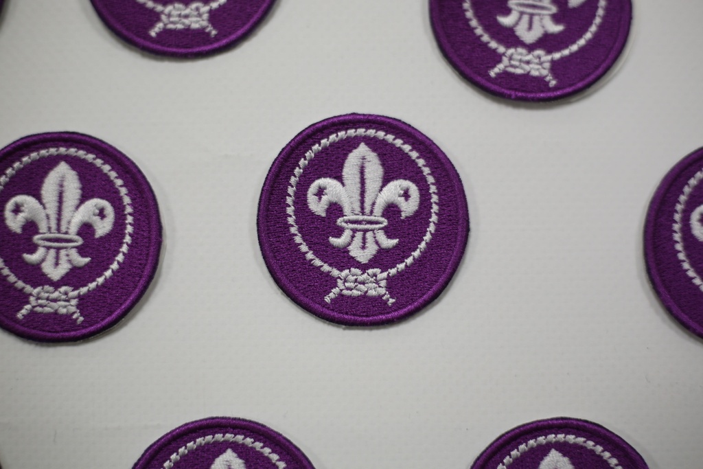 Insignia Flor de Lis