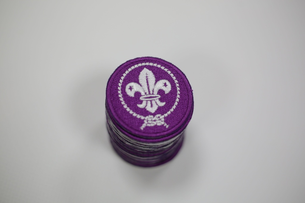 Insignia Flor de Lis