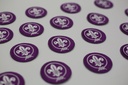 Insignia Flor de Lis