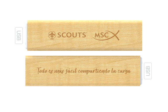 Cargador externo Scouts MSC