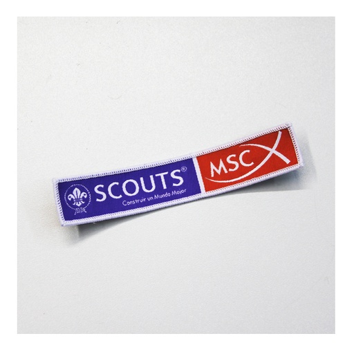 Insignia Scouts MSC