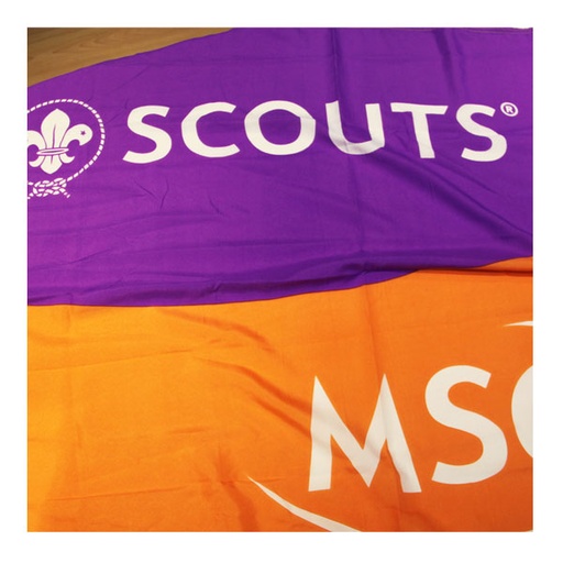 Bandera Scouts MSC